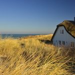 Guida pratica: Come disinfestare casa dagli insetti in modo efficace e naturale