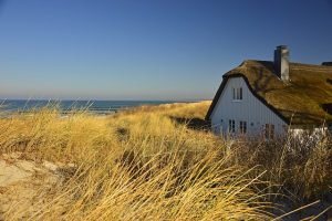 Guida pratica: Come disinfestare casa dagli insetti in modo efficace e naturale