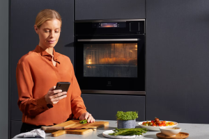 Esplorando l’Eccellenza: Una Guida Completa agli Elettrodomestici Electrolux